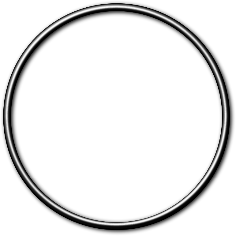 Medium Image - Circle (771x771)