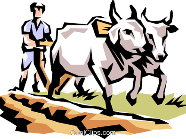 Ox Clipart Farming - Tamil Sticker (640x480)