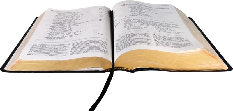 Bible Transparent Background - Open Bible No Background (800x383)