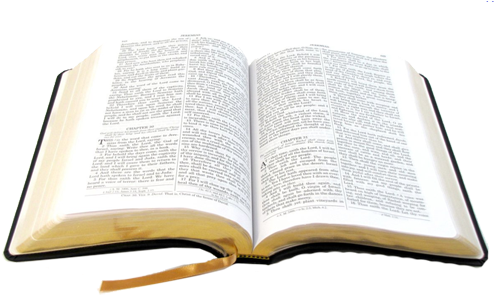 Open Bible Transparent Background - Transparent Background Bible Png (503x300)