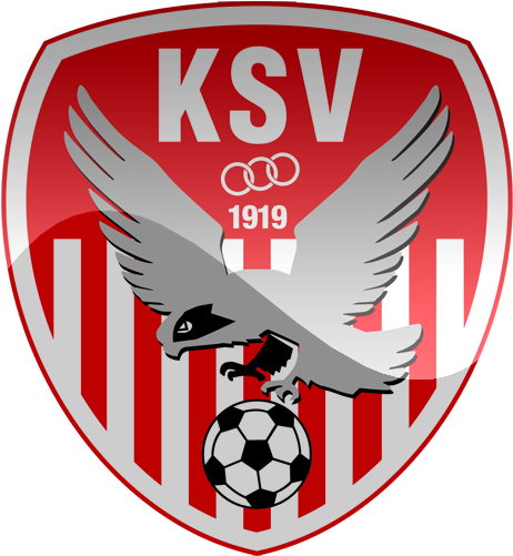 Sv Kapfenberg (500x500)