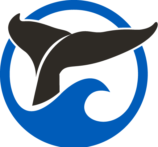 Saving The Southern Resident Killer Whales Focus Of - Springtide Whale Watching & Eco Tours (512x475)