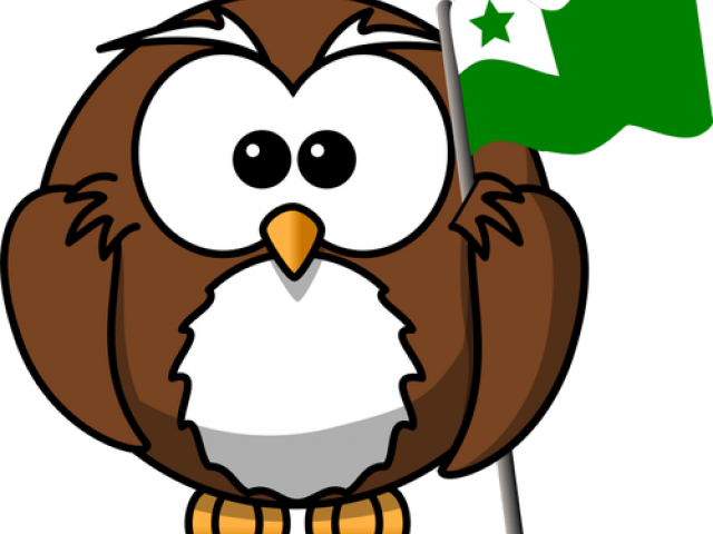 Finland Flag Clipart Owl - Cartoon Owl With Hat (640x480)