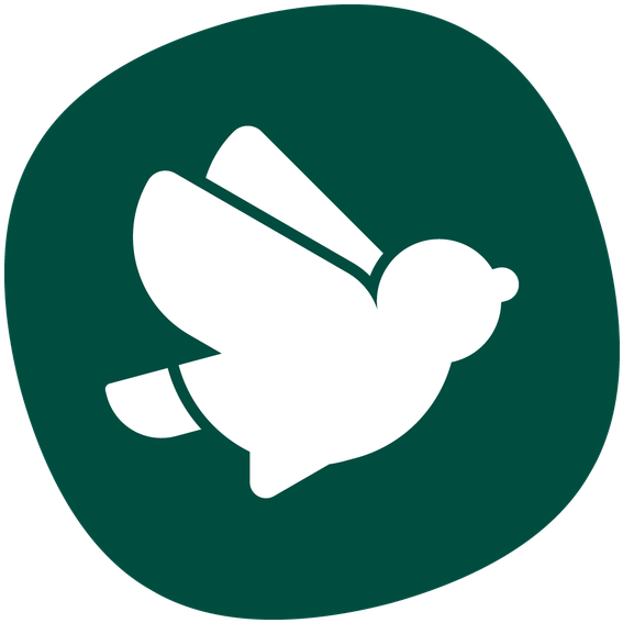 None - None (700x700)