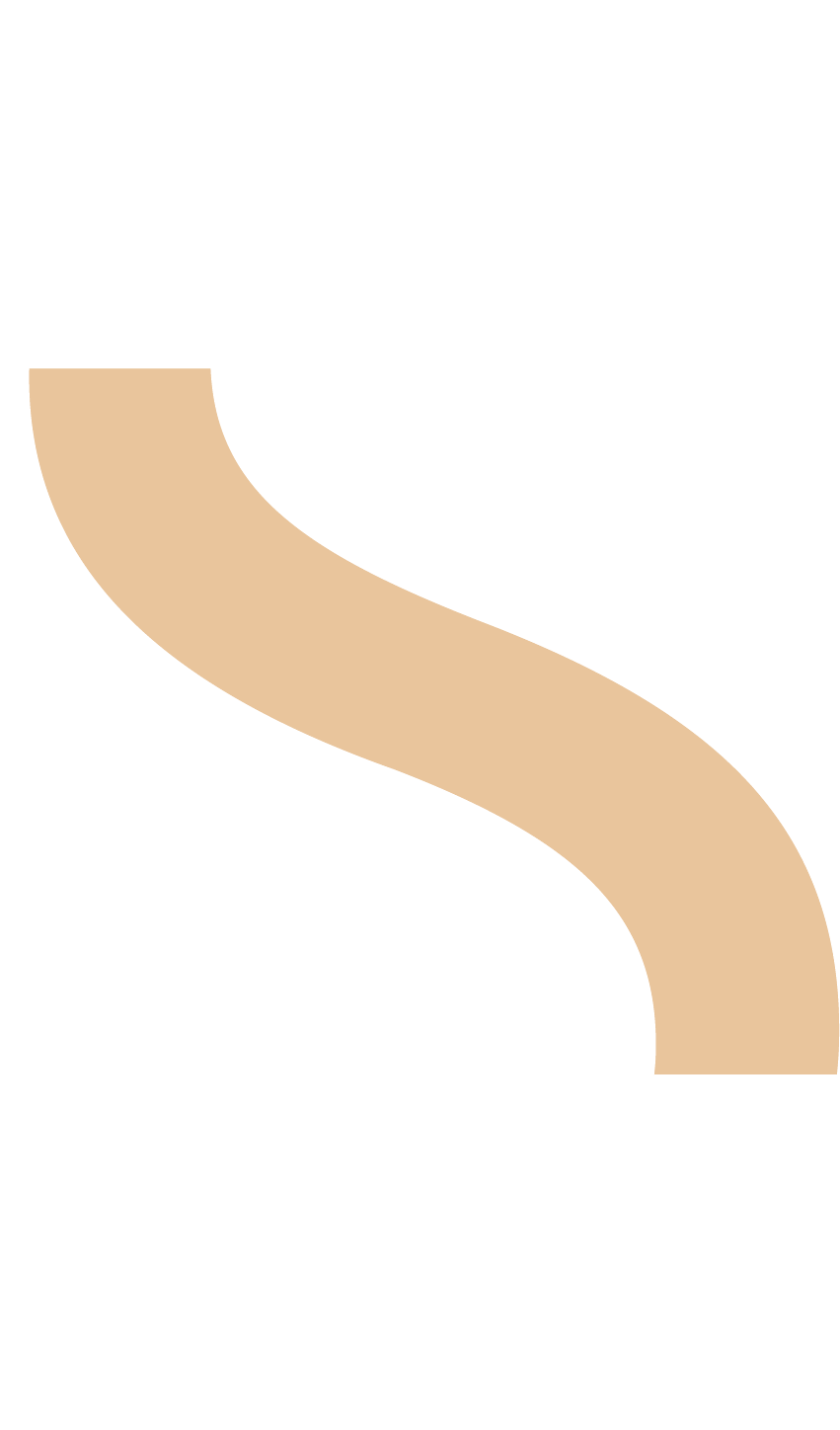 The Spine Highlighted - The Spine Highlighted (851x1448)