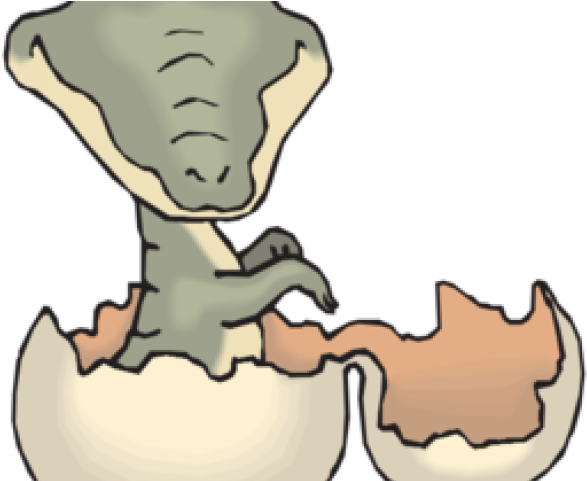 Alligator Clipart Alligator Egg - Alligator Clipart Alligator Egg (640x480)