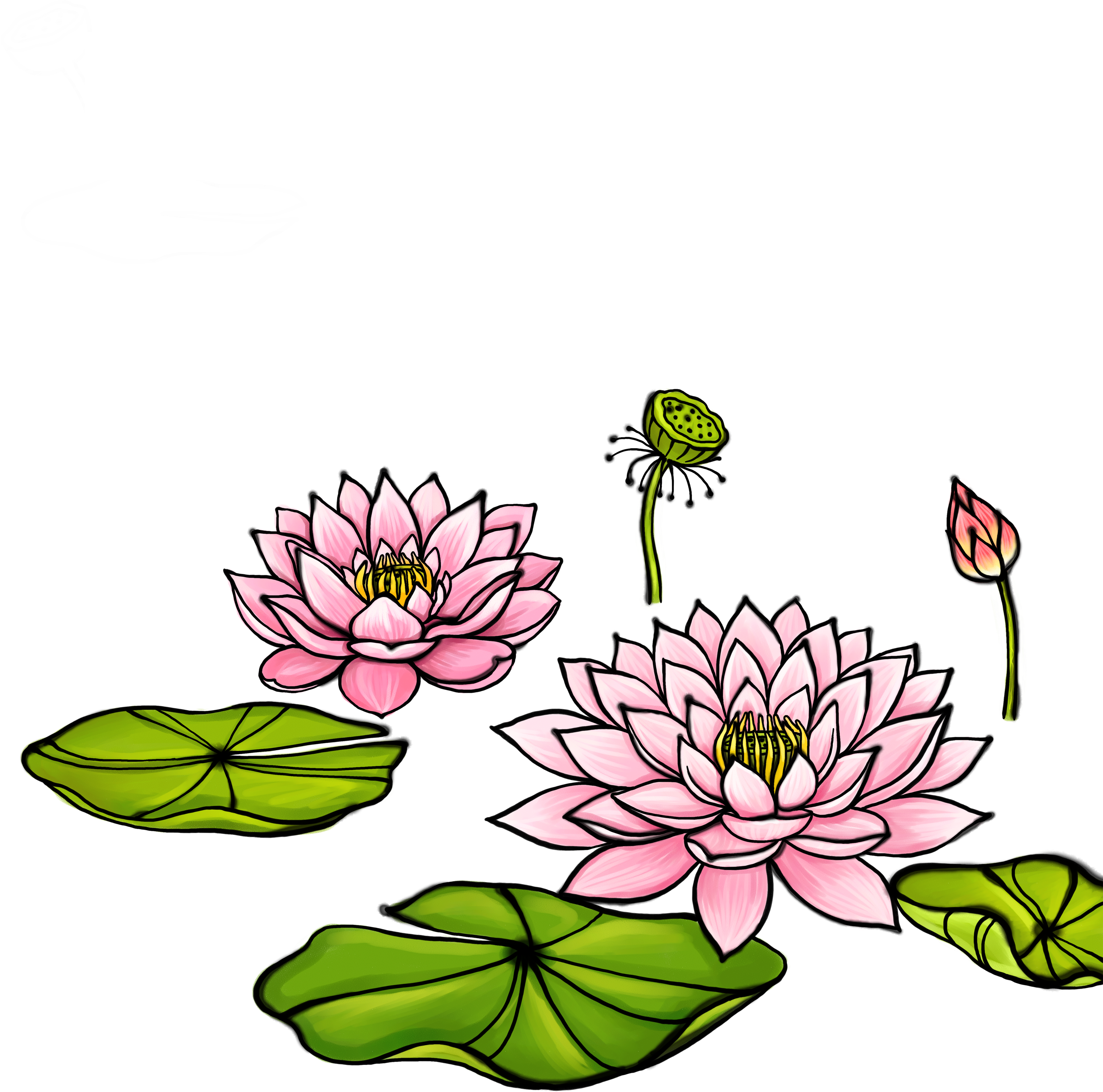 Clipart Transparent Library Watercolor Painting Illustration - Dessin Feuille De Lotus (3461x3427)