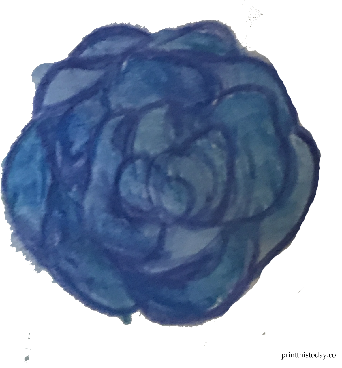Blue Watercolor Rose - Garden Roses (1367x1340)