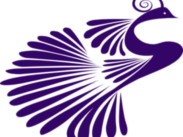 Peacock Clipart Purple - Black And White Designed Peacock (640x480)
