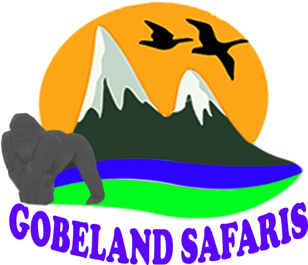 Gobeland Safaris, Tourism In Rwanda › Tourism Rwanda - Tour Company (1200x900)