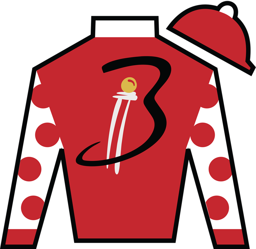 Owner Link - The Kentucky Derby (885x863)