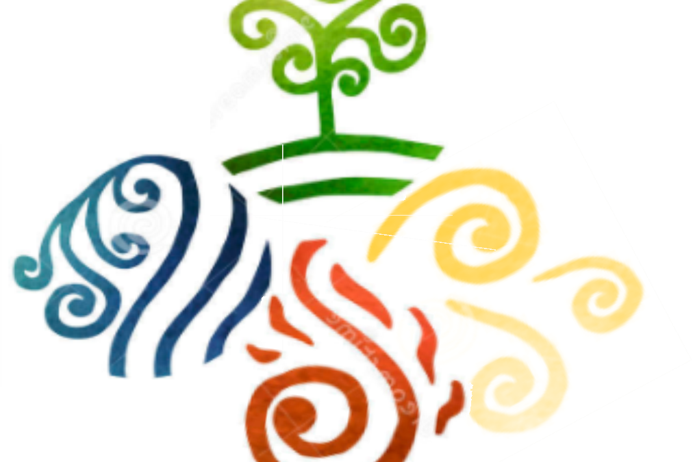 House T-shirt And Hat Orders Term 1 Due Today - House T-shirt And Hat Orders Term 1 Due Today (1012x675)