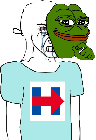 Post - Pepe The Frog Meme Png (417x589)