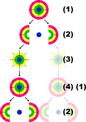 Consumer New Namibia Explains Why Tvi Express Is A - Consumer New Namibia Explains Why Tvi Express Is A (300x423)