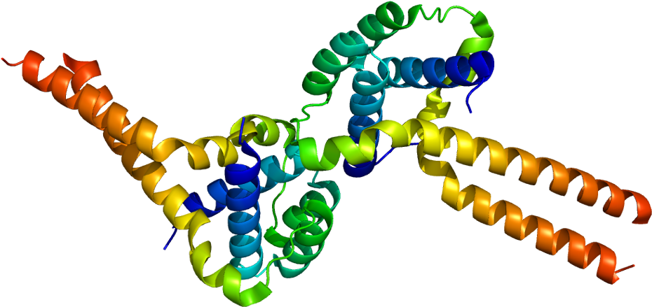 Lis1 Gene (979x488)