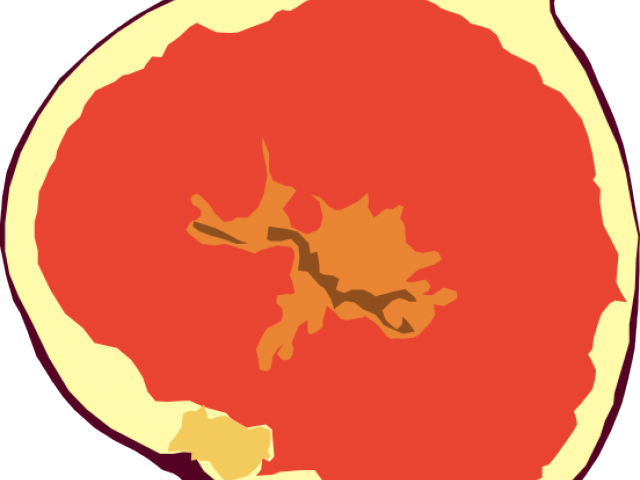 Fig Clipart Transparent - Fig Cartoon Png (640x480)
