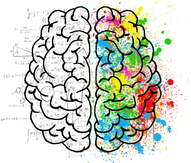 Hemispheric Asymmetry - Brain Creativity (705x537)
