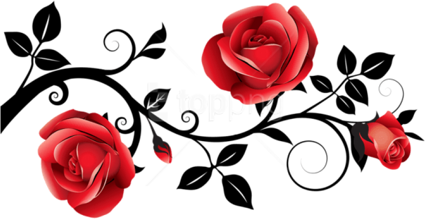 Free Png Download Red And Black Decorative Roses Clipart - Black And Red Rose Border (850x455)