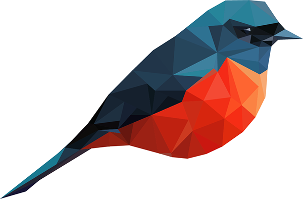 Transparent Bird Gif - Illustration (600x394)