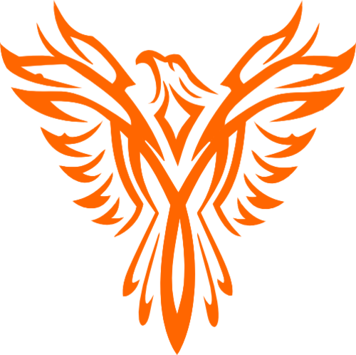 Ideology Of Organisation - Eagles Drawings Black And White (500x498)