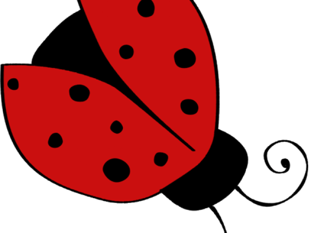 Lady Beetle Clipart Wing Open - Free Ladybug Clipart (640x480)