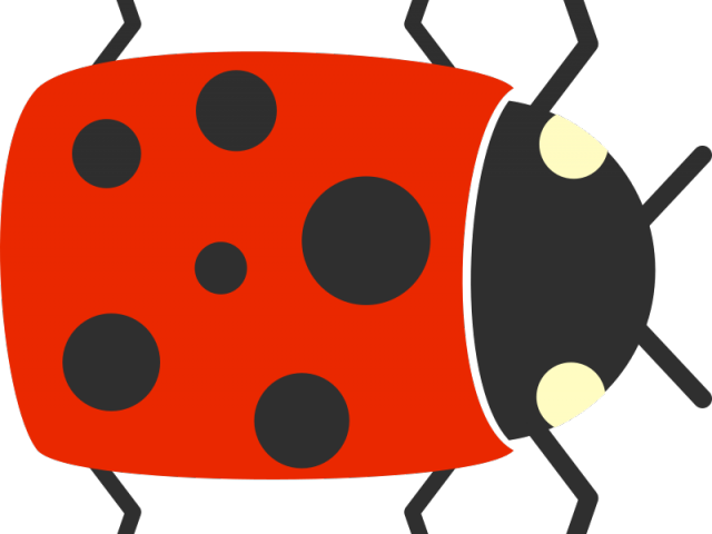 Lady Beetle Clipart Simple - Clip Art (640x480)