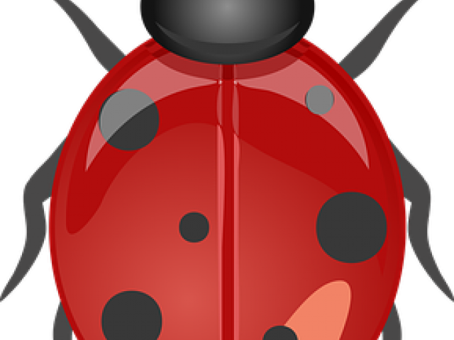 Lady Beetle Clipart Garden Creature - Coccinella Lady Bug (640x480)
