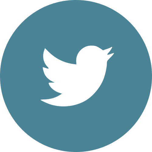 Links To The Expedition - Twitter Logo Circle Blue (500x500)