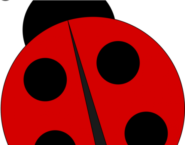 Lady Beetle Clipart - Circle (640x480)