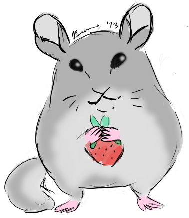 Doodle By Beastbay - Chinchilla Doodle (500x500)