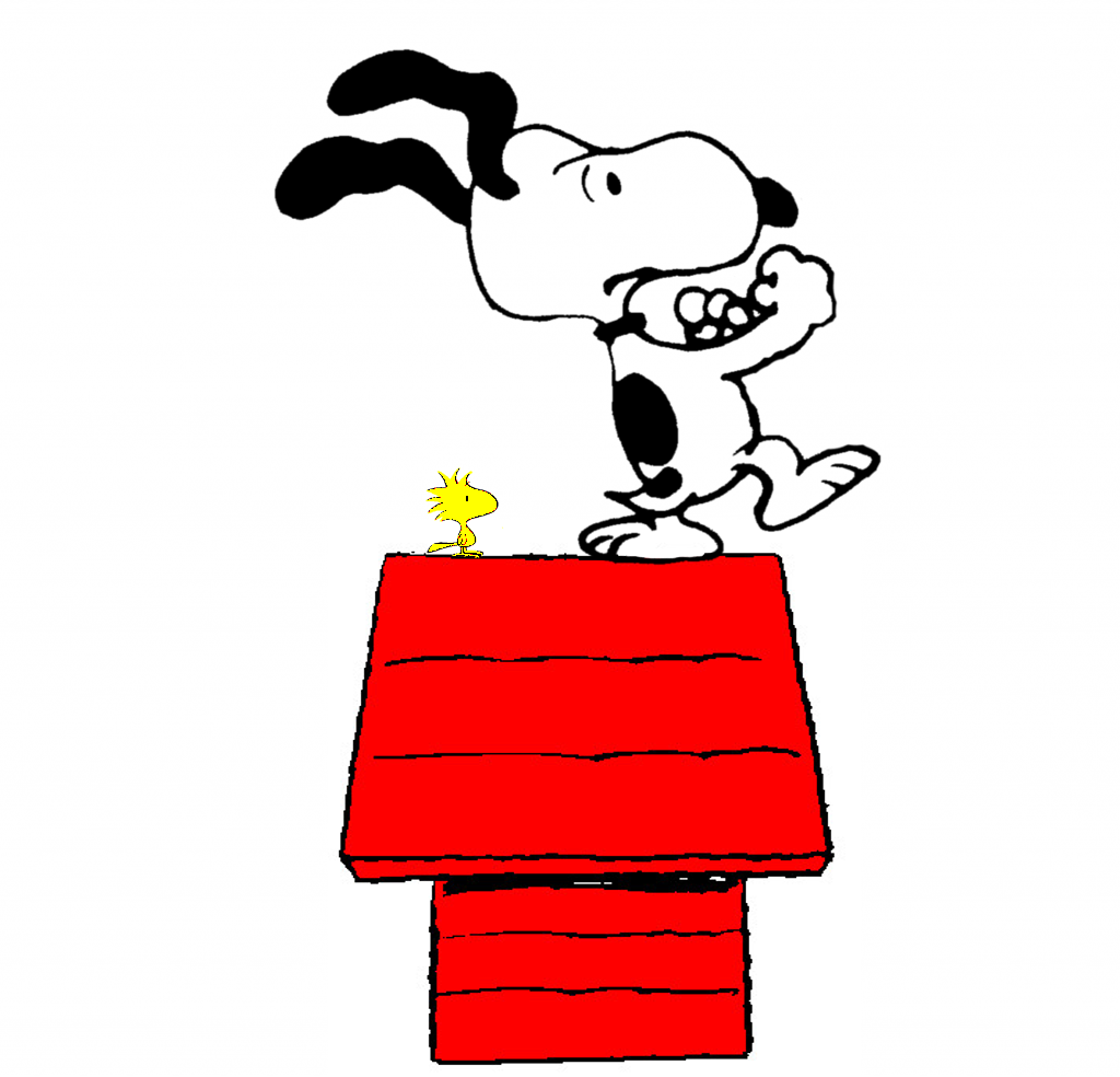 Snoopy Fight For The Life Of His Friend Woodstock By - Snoopy And Woodstock Fight (1024x984)