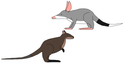 493 X 250 1 - Kangaroo (493x250)