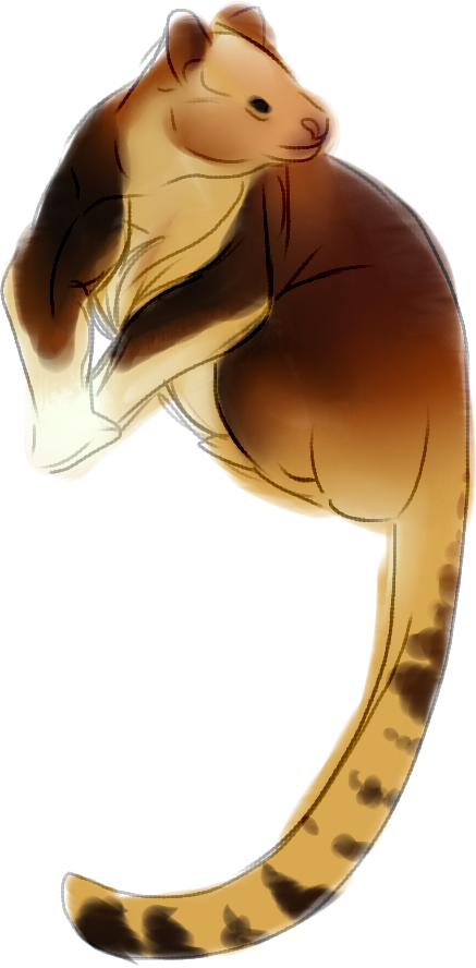 Berikut Ini Adalah Spesies Yang Masuk Ke Dalam Genus - Cartoon Picture Of A Tree Kangaroo (437x888)