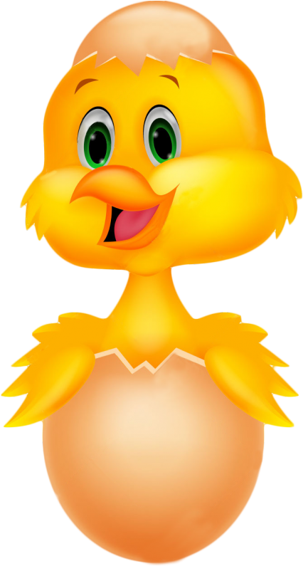 Cours Avec Bébé - Bird Egg Cartoon (436x800)