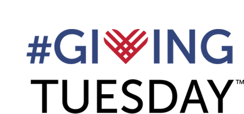 Giving Tuesday Logo Transparent Transparent Background - Giving Tuesday 2018 Logo (521x305)