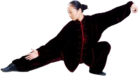 The Snake Creeps Down - Snake Creeps Down Tai Chi Tsao (492x277)