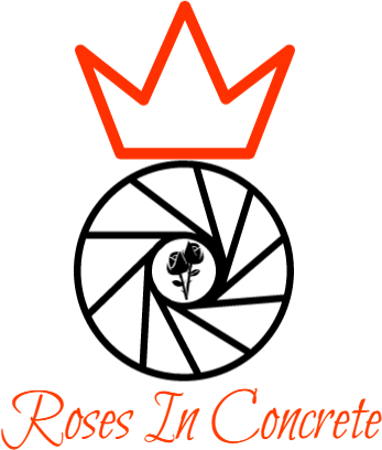 Drawing - Camera Lens Vector Png (347x408)