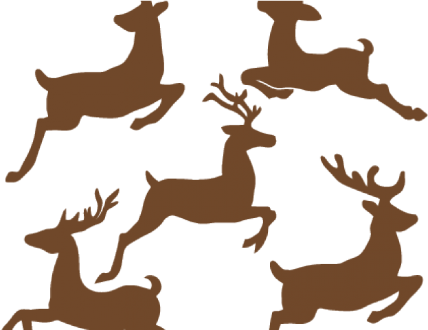 Reindeer Clipart Flying - Cute Christmas Reindeer Flying (640x480)