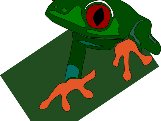 Red Eyed Tree Frog Clipart Clip Art - Frog Clip Art (640x480)