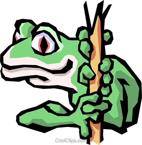 Tree Frog Royalty Free Vector Clip Art Illustration - Frog Word Search Pdf (471x480)