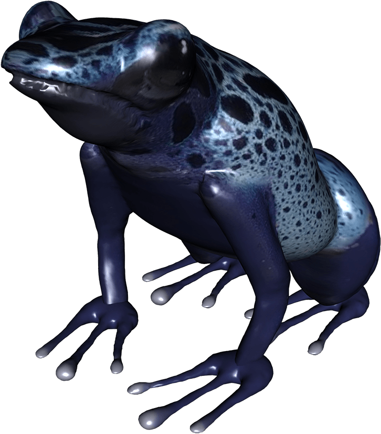 Frog Clip Art - Blue Frog Png (945x945)