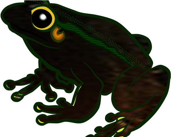 Tree Frog Clipart Transparent - Transparent Frog Clipart (640x480)