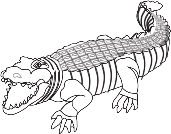 Crocodile Clipart Colour - Crocodile Clipart Black And White Png (594x466)