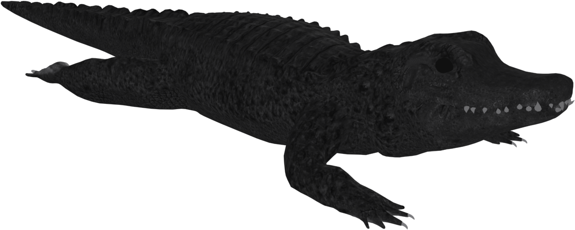 Graphic Freeuse Download Sophie Brown Diorama Making - Nile Crocodile (1200x1200)