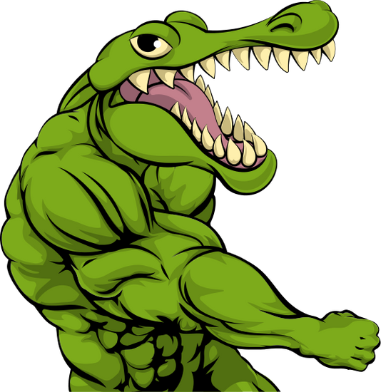 Fighting Duck (534x550)