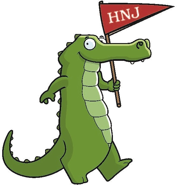 Bricks 4 Kidz - Holy Name Of Jesus School Gator (714x638)