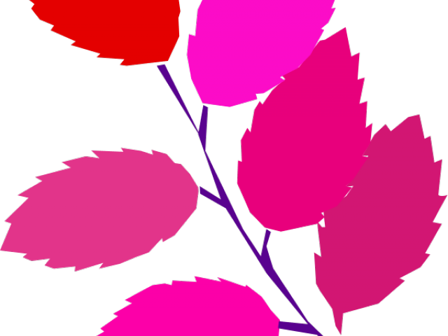 Pink Leaf Cliparts - Simple Tree Leaves Drawing (640x480)