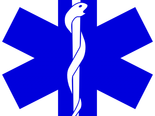 Symbol Clipart Paramedic - Paramedic Cross (640x480)