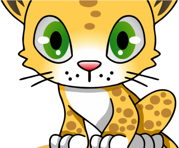 Amur Leopard Clipart Stylized - Amur Leopard Drawing Easy (640x480)