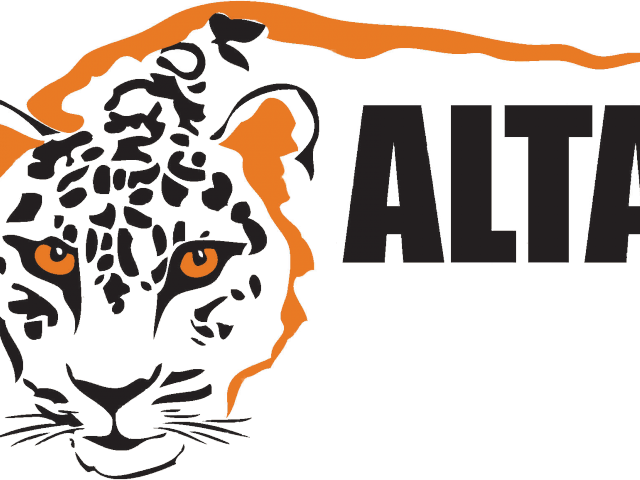 Amur Leopard Clipart Tiger - Amur Leopard And Tiger Alliance (640x480)